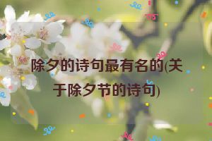 除夕的诗句最有名的(关于除夕节的诗句)