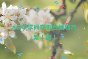2023中学同学聚会策划方案【篇】