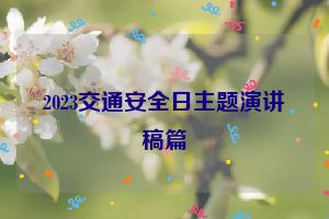 2023交通安全日主题演讲稿篇