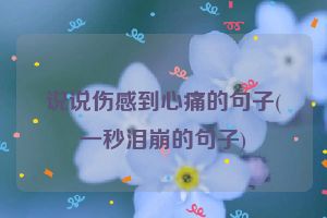 说说伤感到心痛的句子(一秒泪崩的句子)