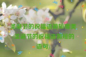 圣诞节的祝福语简短唯美(圣诞节的祝福语简短的语句)