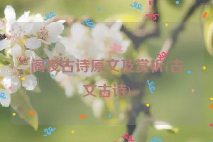 阁夜古诗原文及赏析(古文古诗)