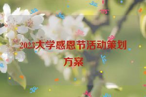 2023大学感恩节活动策划方案