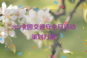 2023全国交通安全日活动策划方案