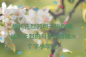缅怀先烈的句子短而精(缅怀先烈的句子短而精20个字小学生)