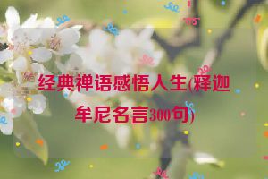 经典禅语感悟人生(释迦牟尼名言300句)