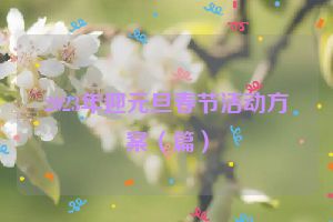 2023年迎元旦春节活动方案（篇）