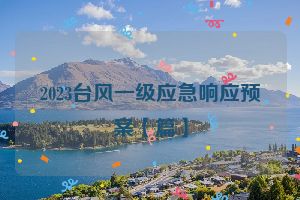 2023台风一级应急响应预案【篇】