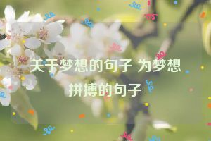 关于梦想的句子 为梦想拼搏的句子