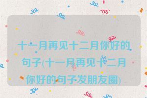 十一月再见十二月你好的句子(十一月再见十二月你好的句子发朋友圈)
