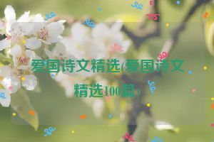 爱国诗文精选(爱国诗文精选100篇)