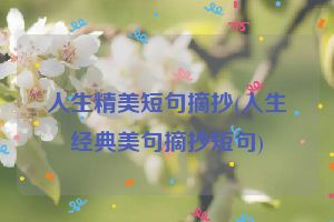 人生精美短句摘抄(人生经典美句摘抄短句)