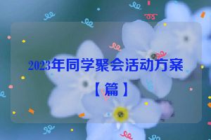 2023年同学聚会活动方案【篇】