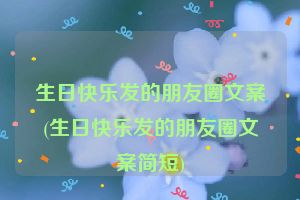 生日快乐发的朋友圈文案(生日快乐发的朋友圈文案简短)