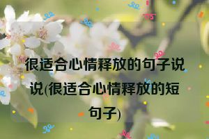 很适合心情释放的句子说说(很适合心情释放的短句子)