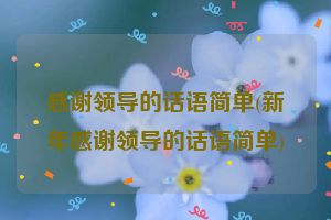 感谢领导的话语简单(新年感谢领导的话语简单)