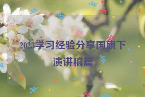 2023学习经验分享国旗下演讲稿篇