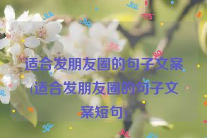 适合发朋友圈的句子文案(适合发朋友圈的句子文案短句)