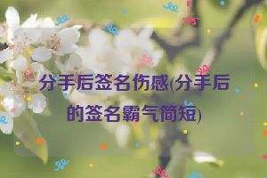 分手后签名伤感(分手后的签名霸气简短)