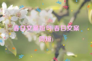 春日文案短句(春日文案简短)