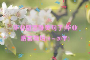 毕业留言唯美句子(毕业赠言简短10～20字)