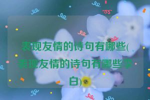 表现友情的诗句有哪些(表现友情的诗句有哪些李白)