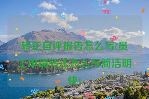 转正自评报告怎么写(员工申请转正怎么写简洁明快)