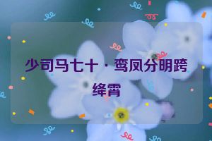 少司马七十·鸾凤分明跨绛霄