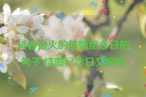 抖音最火的结婚纪念日的句子 结婚纪念日文案短