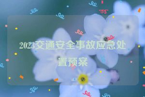 2023交通安全事故应急处置预案