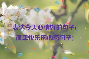 表达今天心情好的句子(简单快乐的心态句子)
