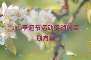 2023圣诞节活动促销的策划方案