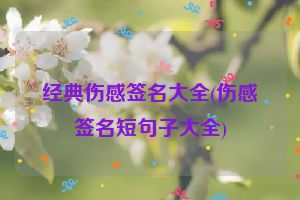 经典伤感签名大全(伤感签名短句子大全)