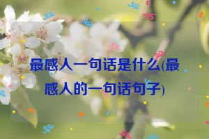 最感人一句话是什么(最感人的一句话句子)