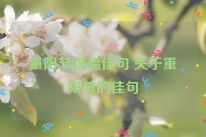 重阳节祝福佳句 关于重阳节的佳句