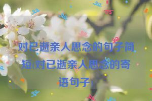 对已逝亲人思念的句子简短(对已逝亲人思念的寄语句子)