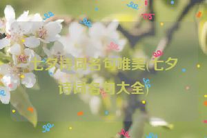 七夕诗词名句唯美(七夕诗词名句大全)