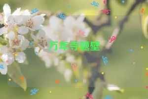 万年寺题壁