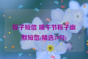 粽子短信 端午节粽子幽默短信(精选39句)