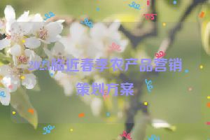 2023临近春季农产品营销策划方案
