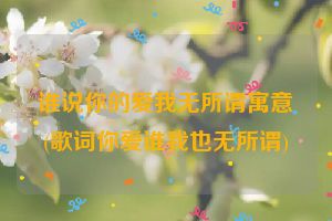 谁说你的爱我无所谓寓意(歌词你爱谁我也无所谓)