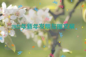 2022年新年发朋友圈文案