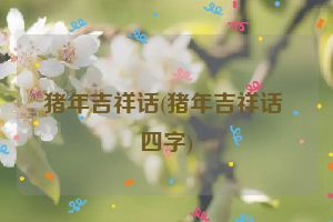 猪年吉祥话(猪年吉祥话 四字)