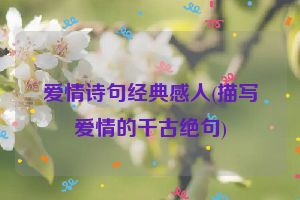 爱情诗句经典感人(描写爱情的千古绝句)