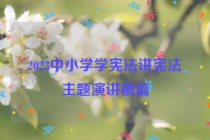 2023中小学学宪法讲宪法主题演讲稿篇