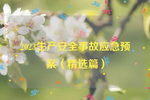 2023生产安全事故应急预案（精选篇）