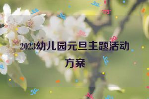 2023幼儿园元旦主题活动方案