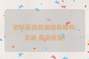 圣诞英语祝福语有哪些(圣诞 英语祝福)