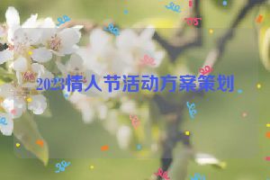 2023情人节活动方案策划