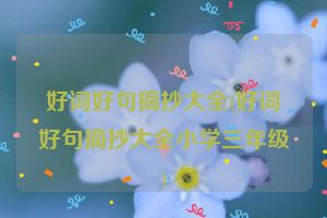 好词好句摘抄大全(好词好句摘抄大全小学三年级)